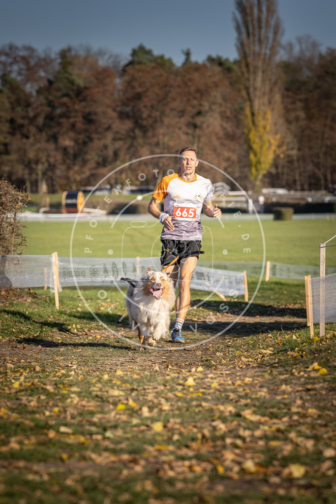 CaniXpix_DV3A0734 | Hundefotografie, Tierfotograf, Pfotenfotografie, Fotoshooting Hund, Hunde Portrait, Hundesport, Hundeportraits, Heideshooting, Hunde, Sportfotograf, Hundefotograf, Turnierhundsport, THS,  - Realisiert mit Pictrs.com