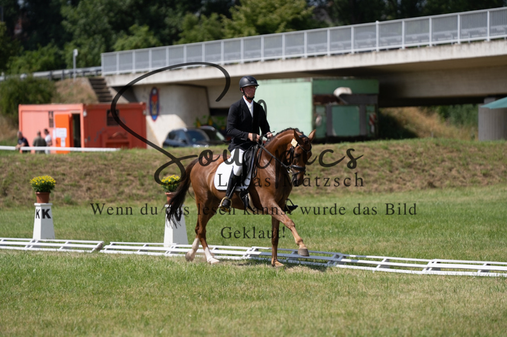 A7V09851 | Pferdefotograf