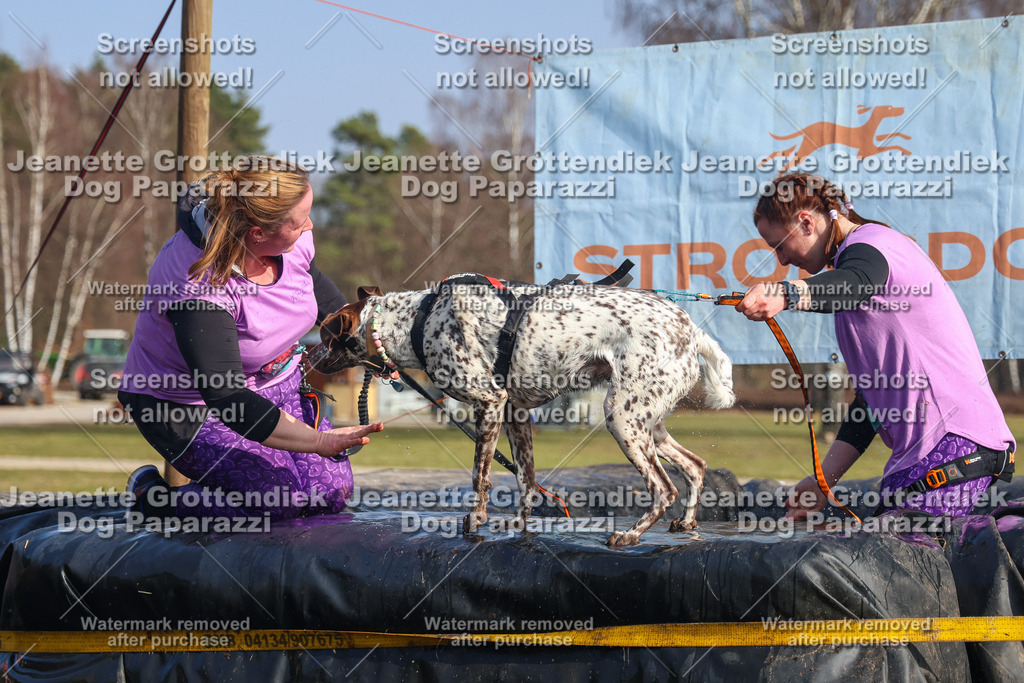 Dog Paparazzi - Strongdog North Mrz26-2676 | Dog Paparazzi Jeanette Grottendiek Fotografie & Videografie - Realisiert mit Pictrs.com