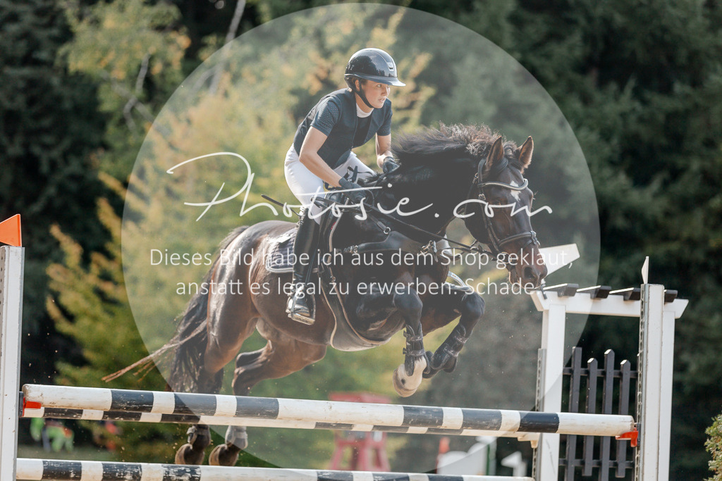 3I6A5058 | Stimmungsvolle Portraits und Reitsportfotografie im Ruhrgebiet und im Münsterland.

Pferdefotografie, Hundefotografie, Tierfotografie, Reportagen, Portraits von Tier und Mensch, Turnierfotografie in Bochum, Recklinghausen, Marl, Haltern am See, Dülmen.. - Realisiert mit Pictrs.com