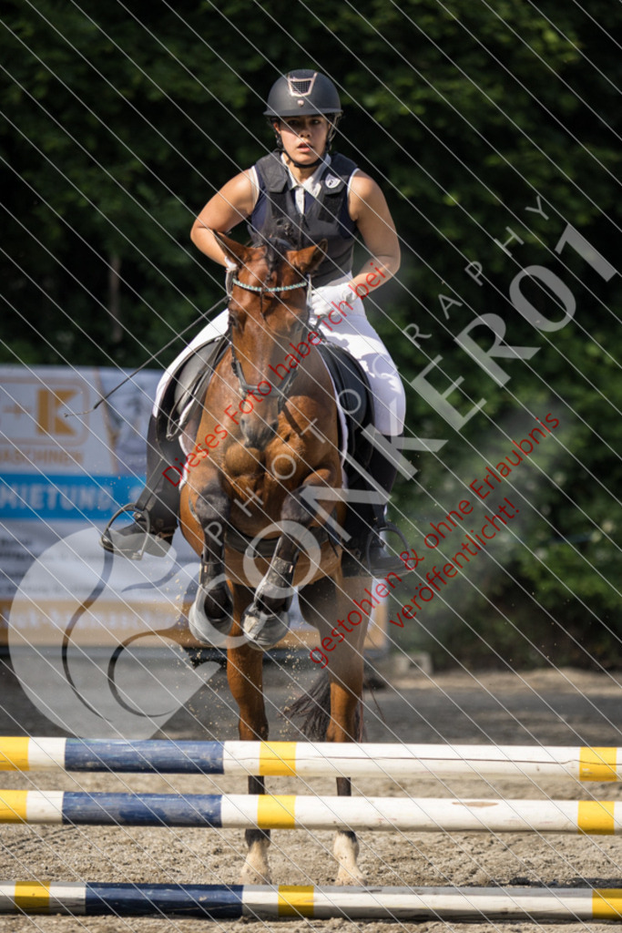 IMG_5945 | Sport-, Event- und Tierfotos in Profiqualität. Einfach auswählen, bestellen und herunterladen. Dein Moment – perfekt festgehalten.