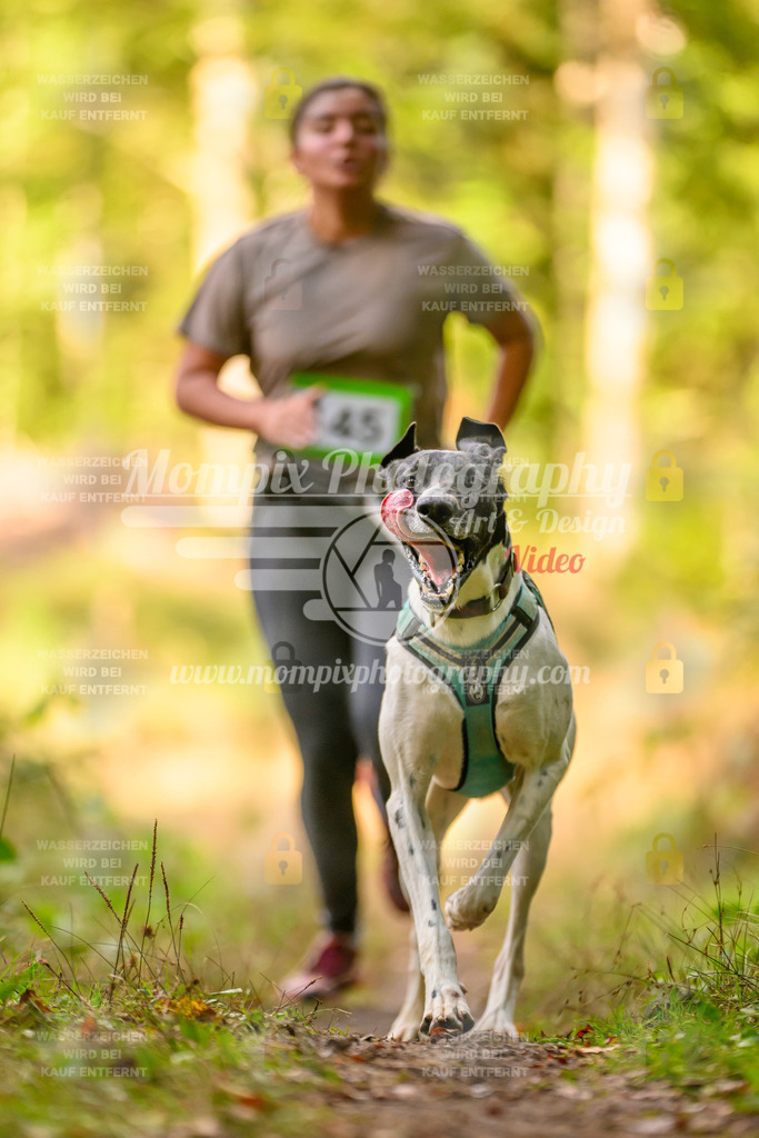 MompixPhotography_Yens2025_B3-220 | PayLife