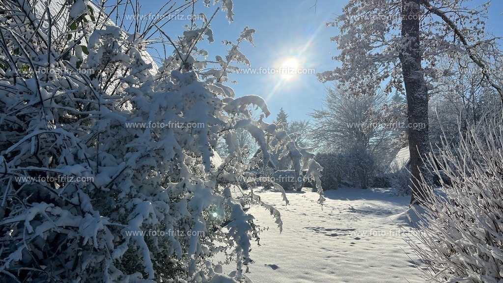 IMG_E6764 | www.foto-fritz.com - Realisiert mit Pictrs.com