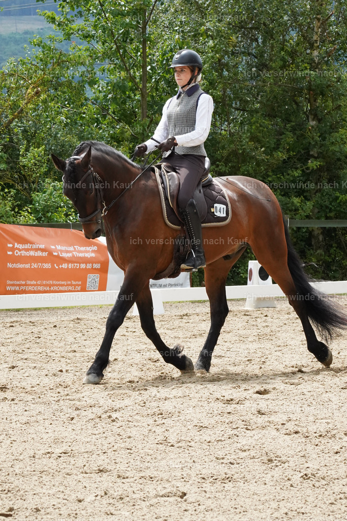KlasseE_Lucie469 | working equitationturnier fotograf videograf stoibphotography marixx film working equitation deutschland reitsport turnierfotografie eventfotografie equestrian events