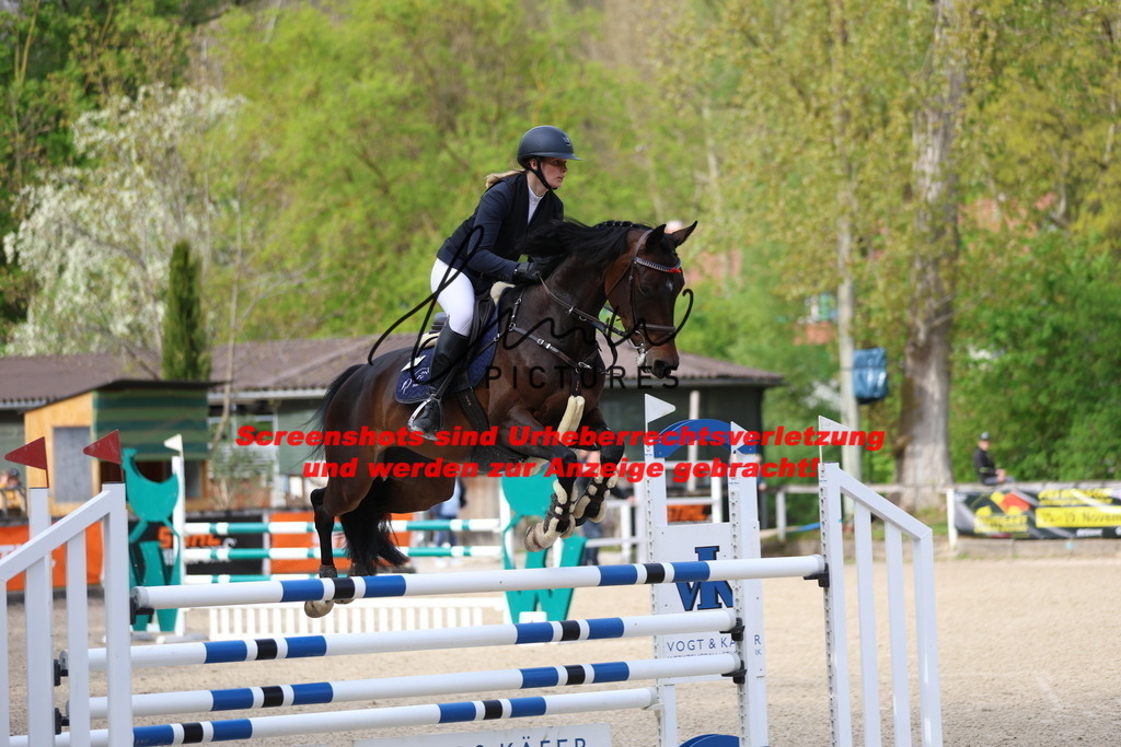 A40A2942 | lmwpictures - Realisiert mit Pictrs.com