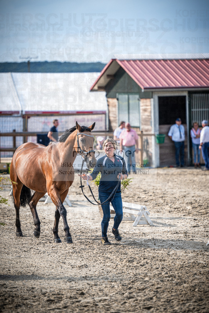 DOS_3081 | Entdecke hochwertige Reitturnierfotos von Foto Oger. Professionell, emotional und authentisch – jetzt Lieblingsmomente im Shop bestellen.Deutschlandweite Turnierfotografie. - Realisiert mit Pictrs.com
