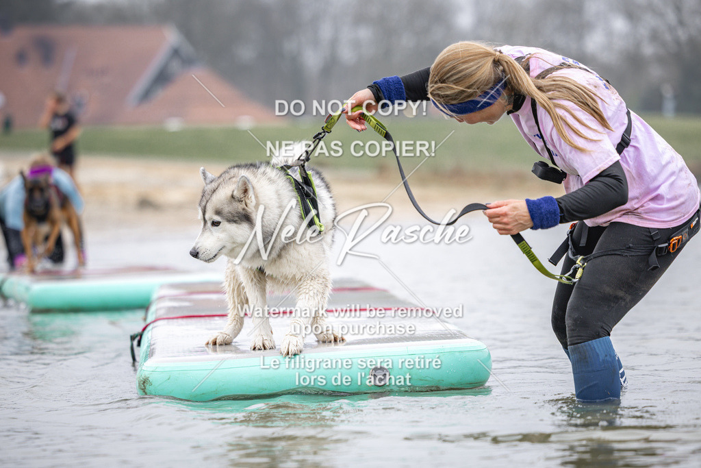 nelerasche_Hulsbeek_Sa1030-1100_238 | nelerasche