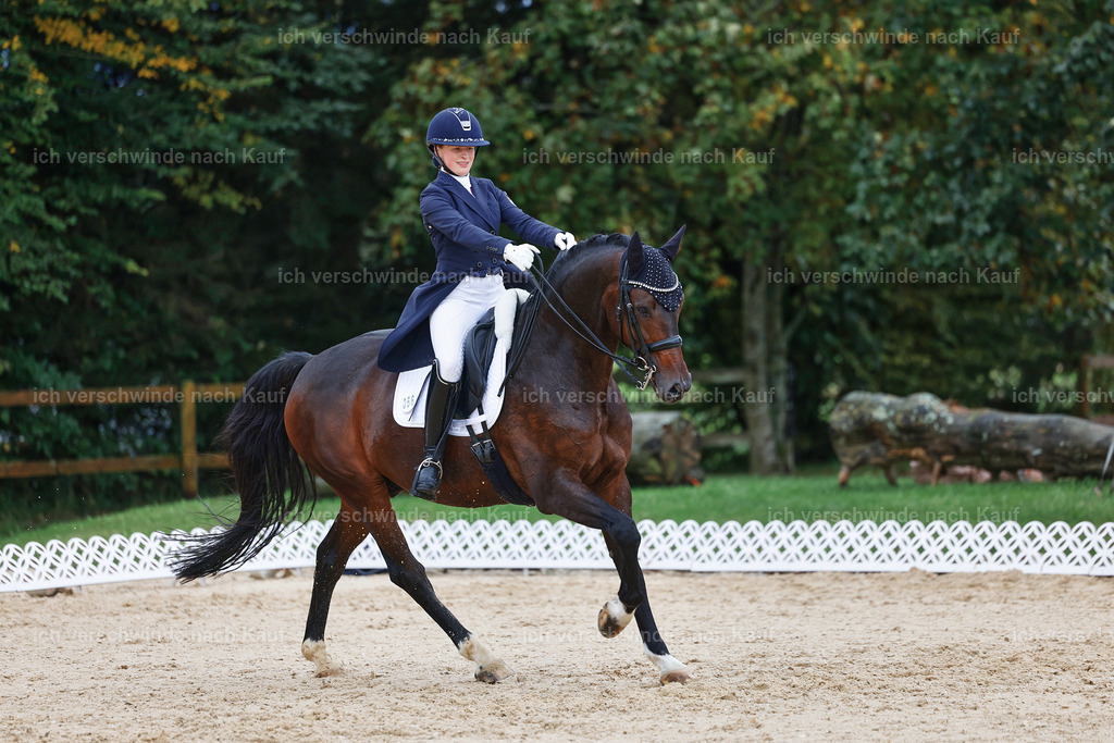 8_2-056-DRESSUR S_  -StoibPH-4424 | working equitationturnier fotograf videograf stoibphotography marixx film working equitation deutschland reitsport turnierfotografie eventfotografie equestrian events