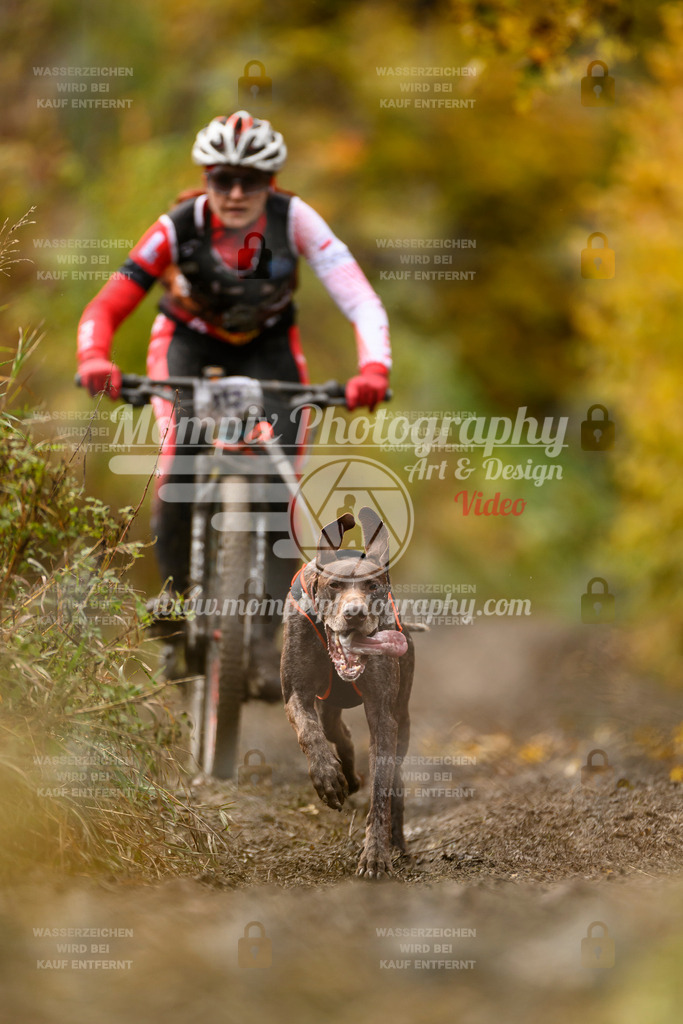 MompixPhotography_ICF_WC_2024_SA_Bike_-80 | PayLife