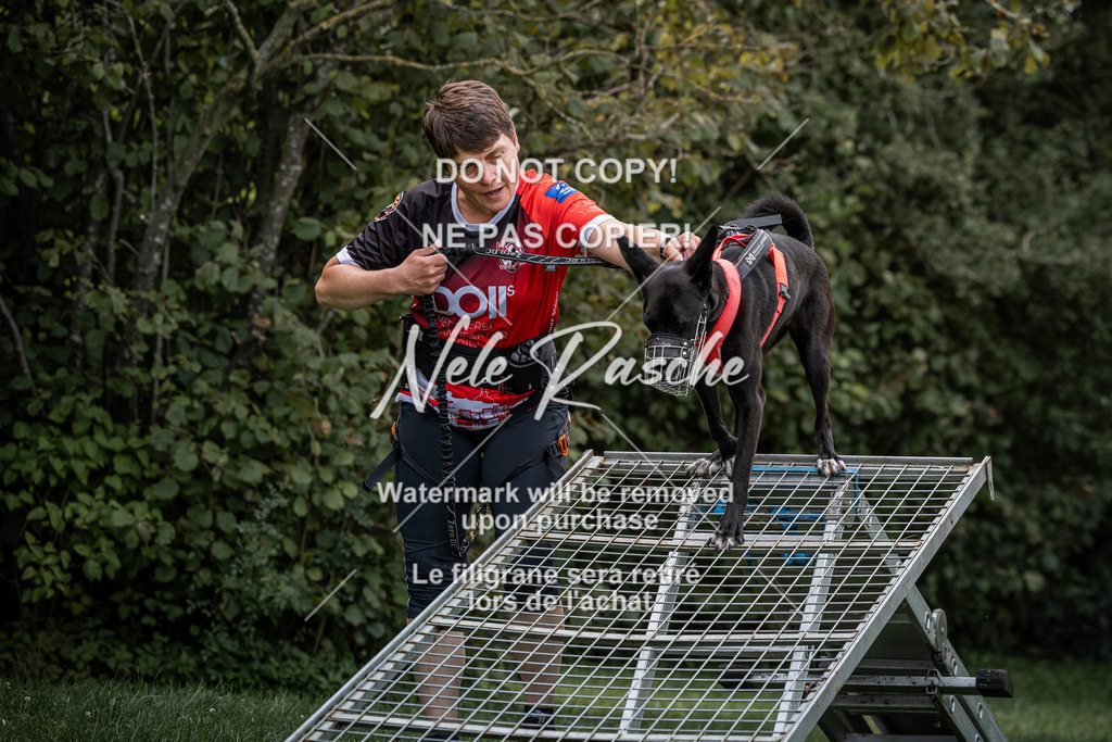 nelerasche_SoLauf_68 | nelerasche