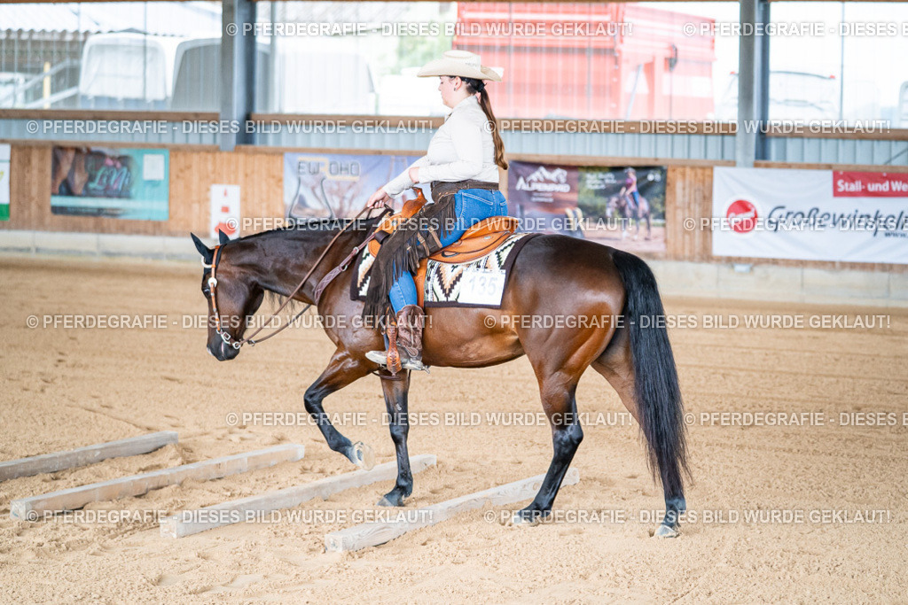 DSC07749 | Pferdegrafie