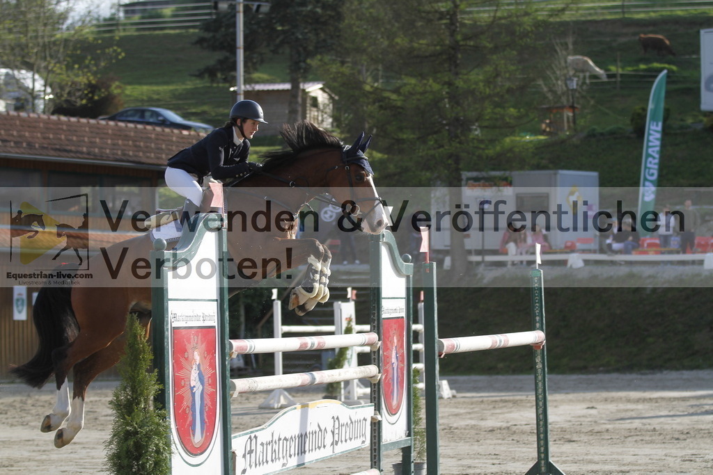 _MG_1567 | equestrian-live-com