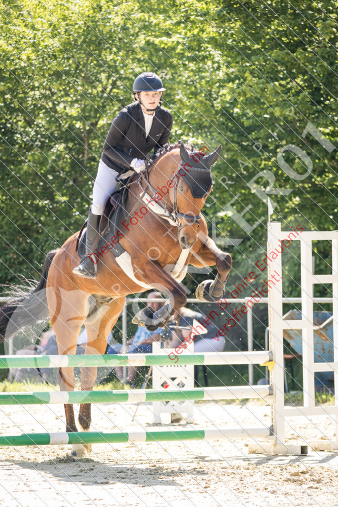 IMG_3236 | Sport-, Event- und Tierfotos in Profiqualität. Einfach auswählen, bestellen und herunterladen. Dein Moment – perfekt festgehalten.