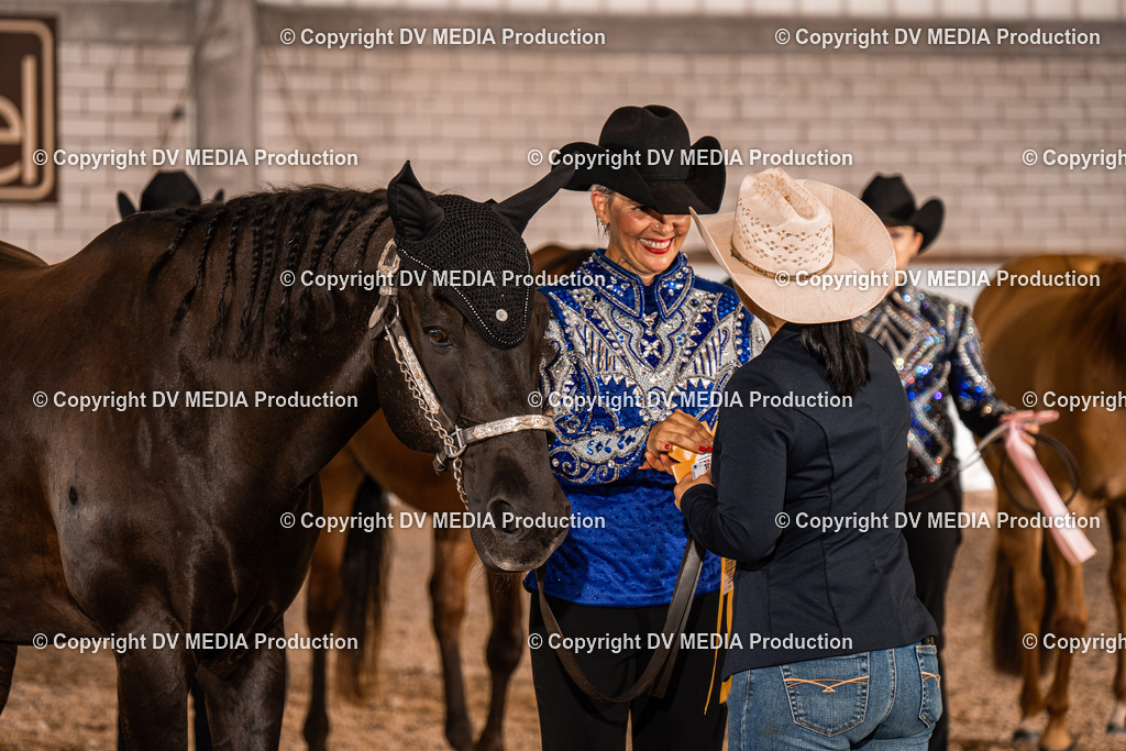 ZH100068 | dv-media-shop - Realisiert mit Pictrs.com