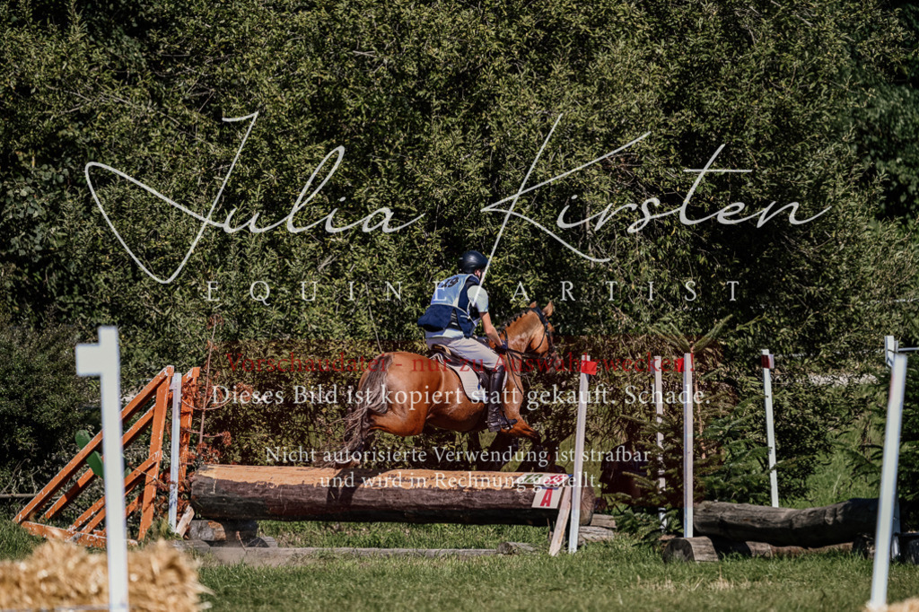 DSC_2099 | Pferde- und Turnierfotografie in Westsachsen. Pferdeportraits, Auftragszeichnungen und intuitive Kunst.