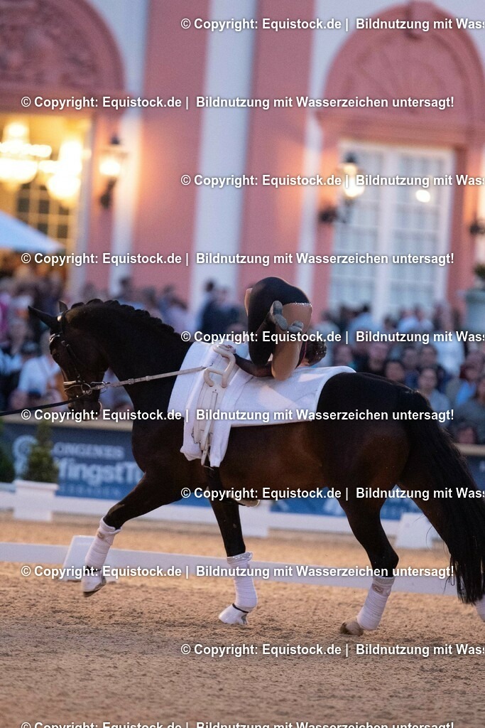 20230527_Voltigieren_NASPA_Flutlicht_0507 | equistock