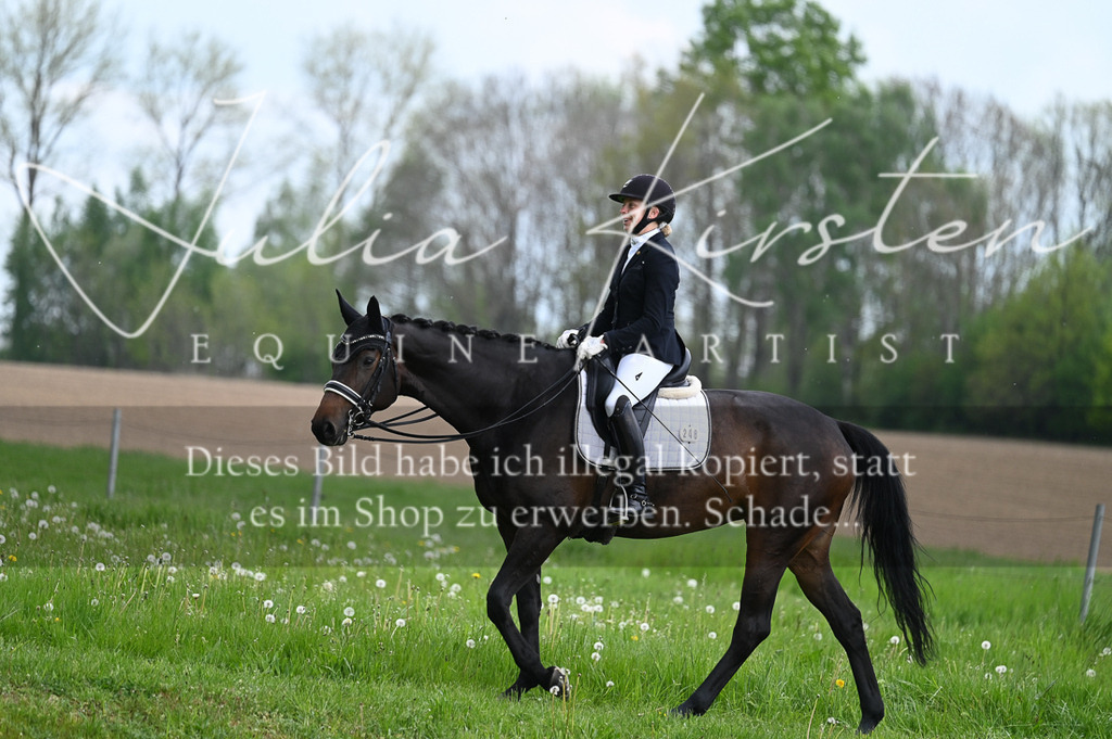 20230512_JK-Röhrsdorf-05-051 | Pferde- und Turnierfotografie in Westsachsen. Pferdeportraits, Auftragszeichnungen und intuitive Kunst.