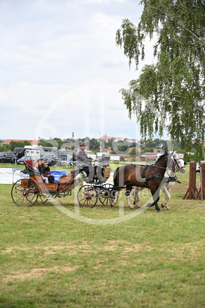 DSC_2812 | sattelsport - Realisiert mit Pictrs.com