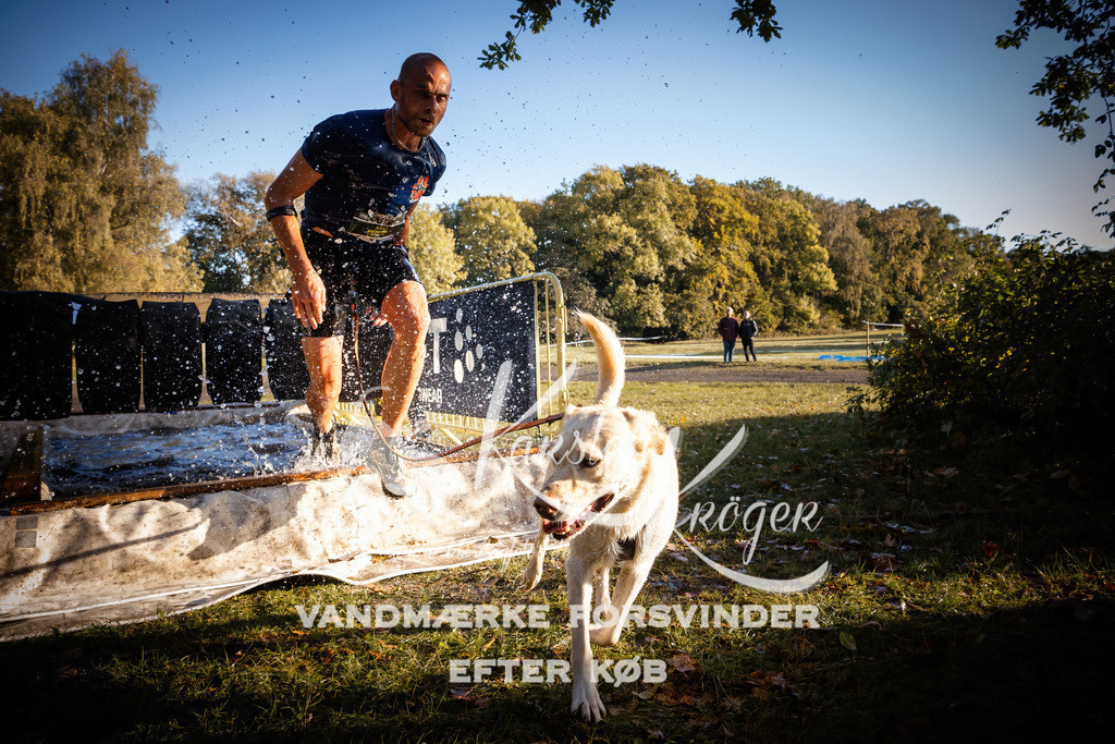 0929_ZZ91161 | kk-dogfotos
