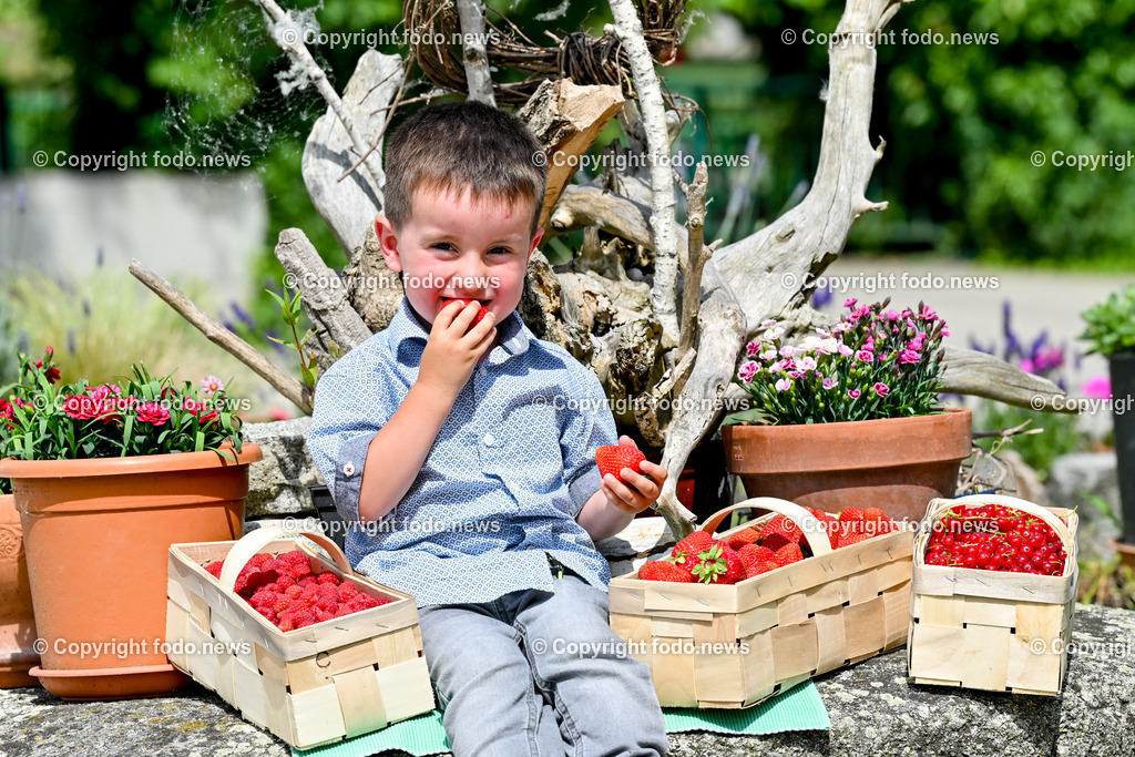 Erdbeeren_ Himbeeren_ Ribisel_ Mayer_ 20.06.2023-25 | 20.06.2023, Raffelding, AUT, Erdbeeren, Himbeeren, Ribisel, Mayer, im Bild Valerian laesst sich die Erdbeeren schmecken, Himbeeren und Ribisel