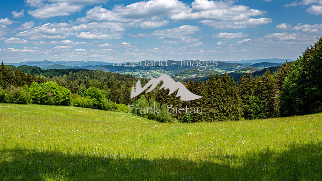 0Z5A5945-Pano | Wiesen und Wälder prägen die Landschaft