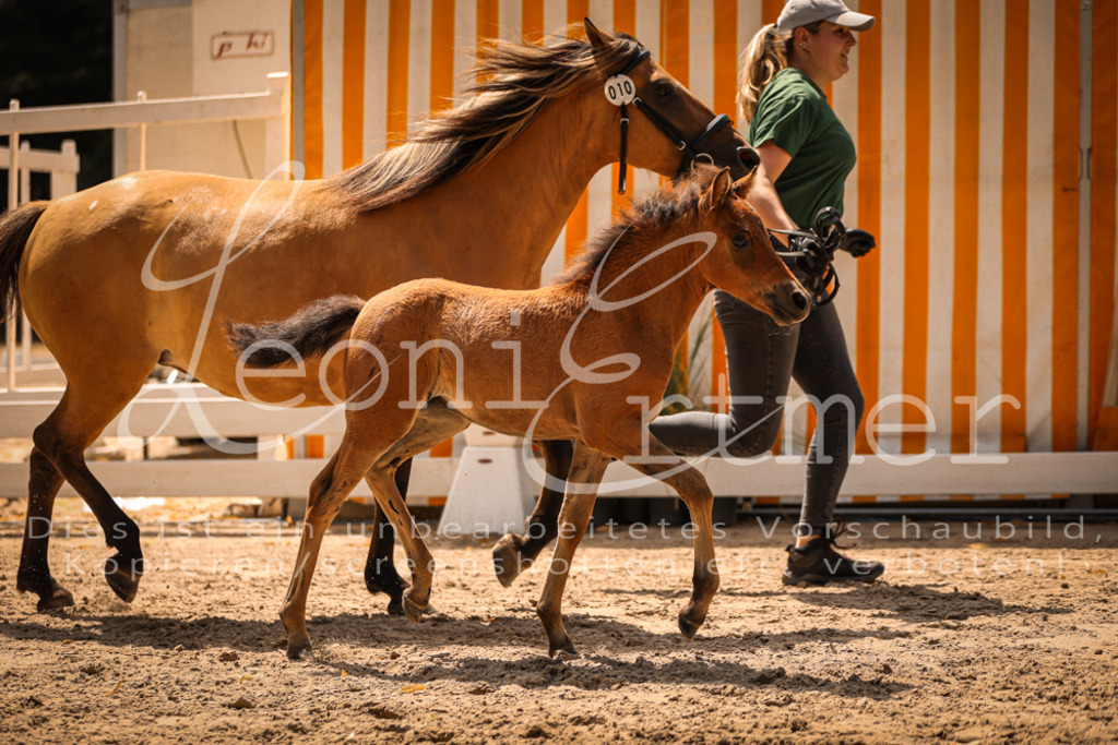 02.DoSR00111 | Leoni Ertmer Photography - Realisiert mit Pictrs.com