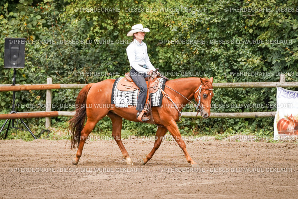 DSC06684 | Pferdegrafie