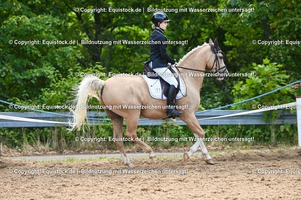 20230716_04_Dressurreiterprüfung Kl.A_0367 | equistock