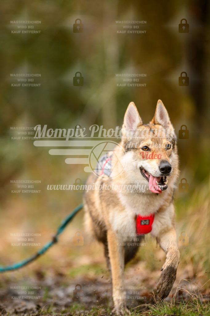 MompixPhotography_CDSM24_SA_CCS-138 | PayLife