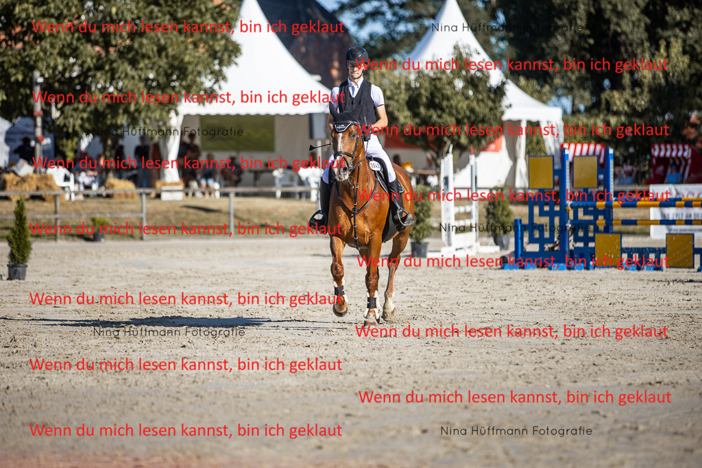 BK1A7554 | Turnierbilder Turnierfotos Nina Hüffmann Turnierfotografie Pferdefotografie Tierzeichnung Haustierzeichnung Pferdezeichnung Hundezeichnung Videograf  - Realisiert mit Pictrs.com