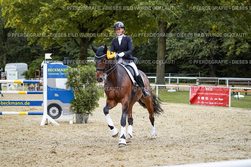 DSC02645 | Pferdegrafie