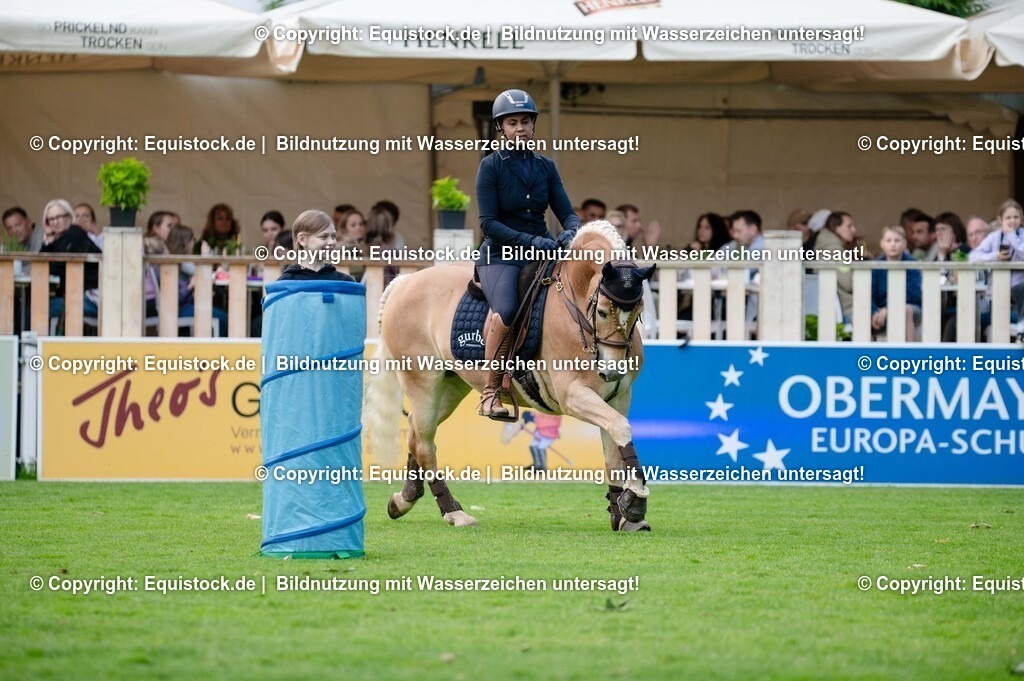 20250606_Lange-Pferdenacht_0303 | Foto: Thomas Hartig