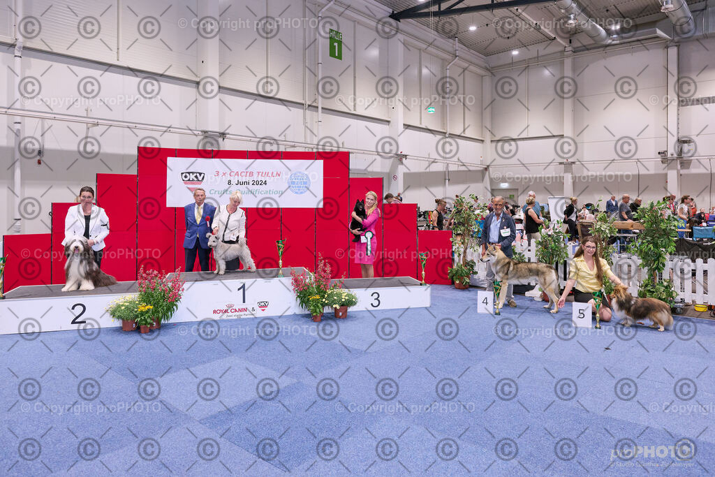 202406_ÖKV-IHA-Tulln24_NZ9_8655 | proPHOTO - Realisiert mit Pictrs.com