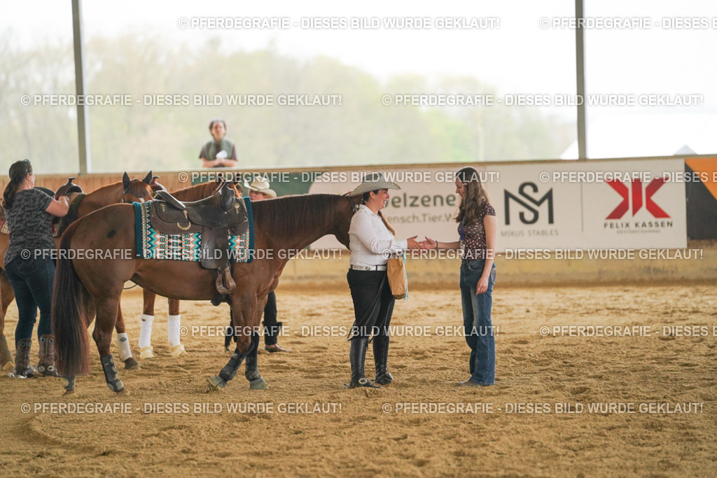 DSC08356 | Pferdegrafie