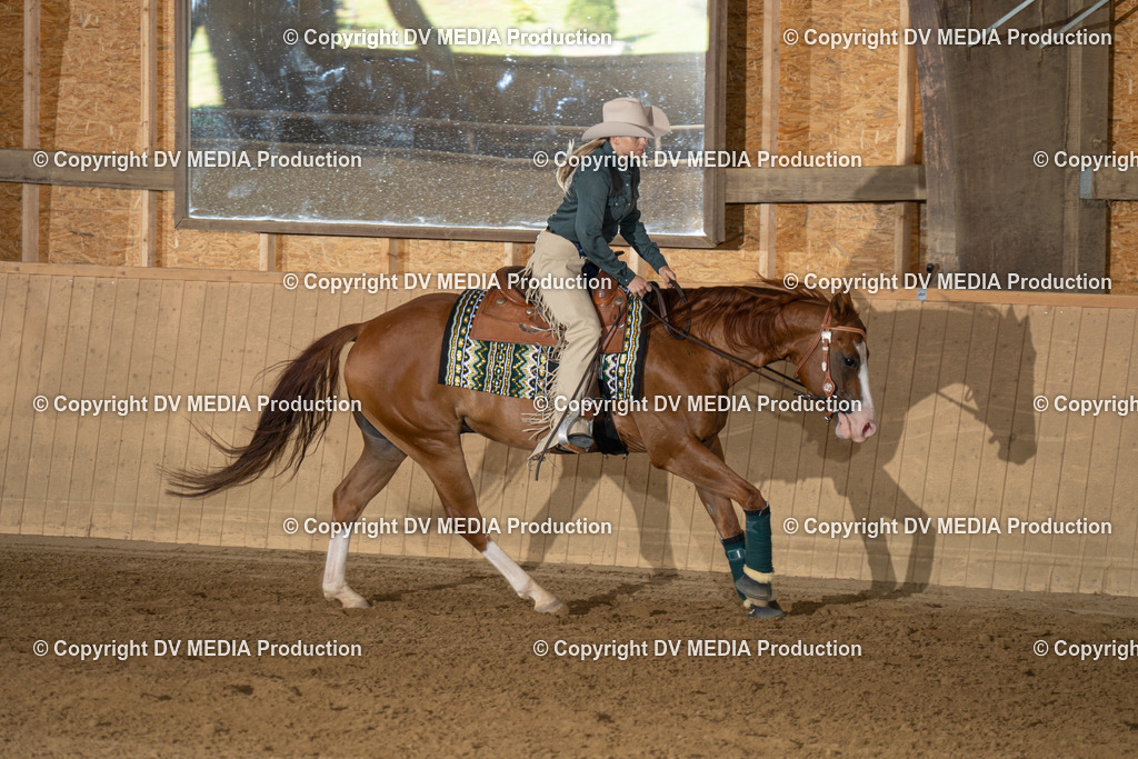 DSC00074 | dv-media-shop - Realisiert mit Pictrs.com