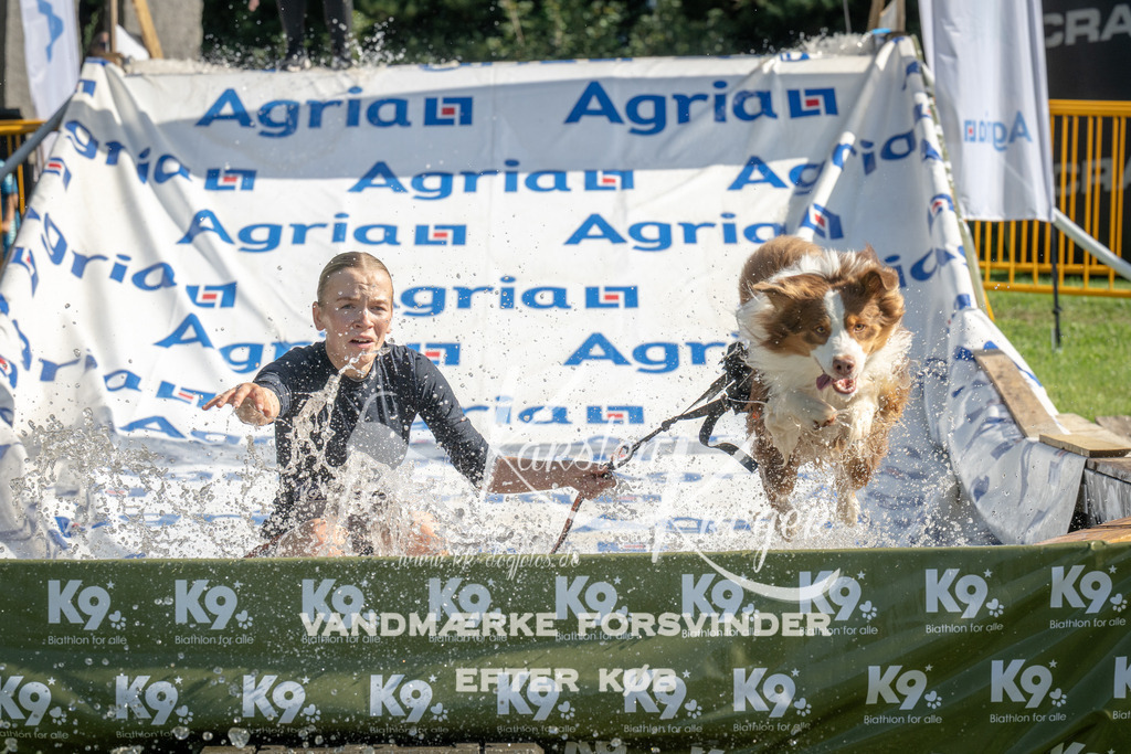 1024_ZZ98795 | kk-dogfotos