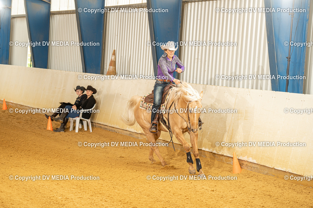 MIT01384 | dv-media-shop - Realisiert mit Pictrs.com