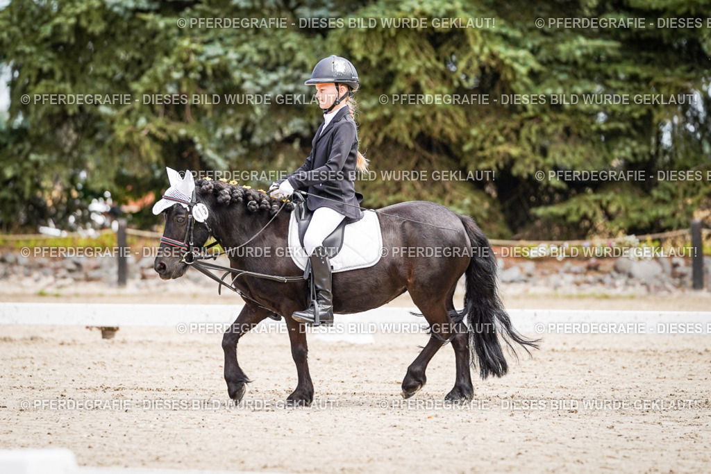 DSC02838 | Pferdegrafie