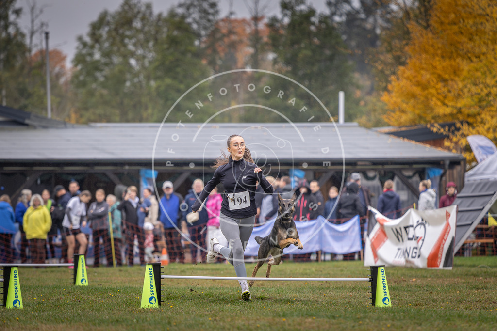 Pfotenfotografie_DV3A0668 | Hundefotografie, Tierfotograf, Pfotenfotografie, Fotoshooting Hund, Hunde Portrait, Hundesport, Hundeportraits, Heideshooting, Hunde, Sportfotograf, Hundefotograf, Turnierhundsport, THS,  - Realisiert mit Pictrs.com
