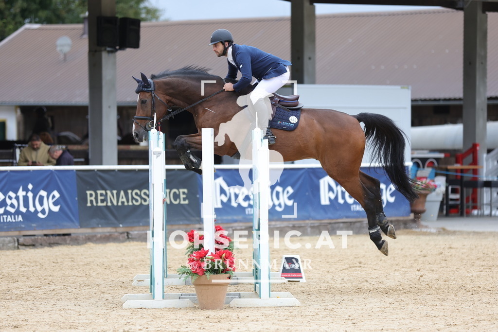 0P6A6788 | Willkommen bei Brunnmayr - Design & Fotografie – Ihrem Spezialisten für Reitturniere und Pferdeveranstaltungen in Oberösterreich, Salzburg und Bayern! Seit über 17 Jahren sind wir leidenschaftlich dabei.