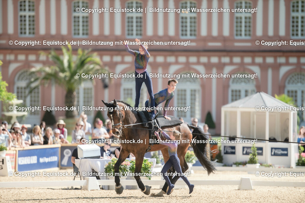 20230528_Voltigieren_NASPA_0471 | equistock