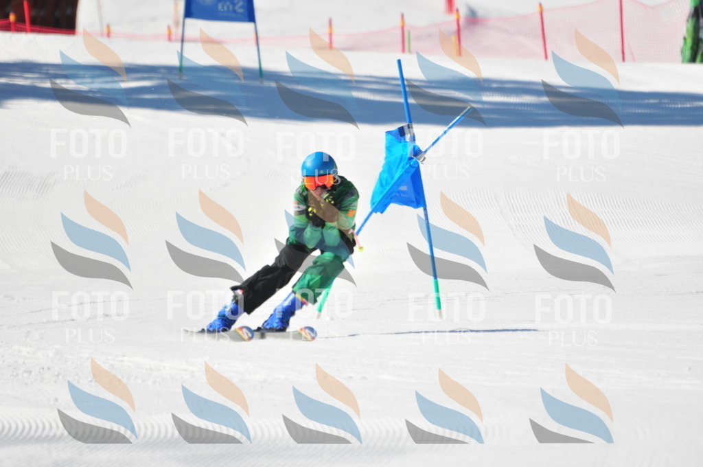 C3682 | holidayphoto