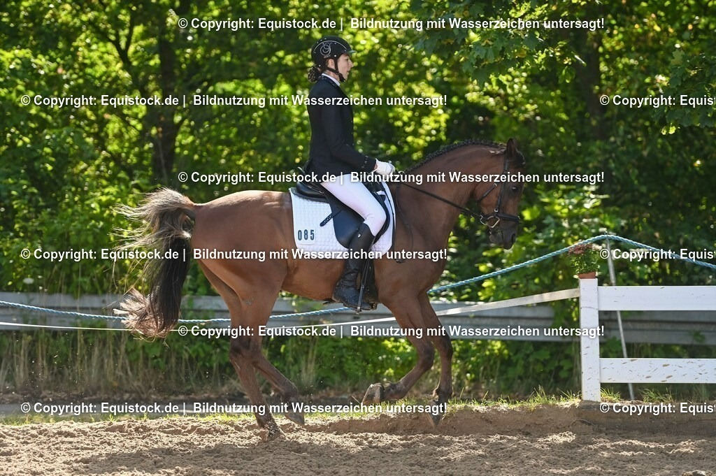 20230716_04_Dressurreiterprüfung Kl.A_0157 | equistock