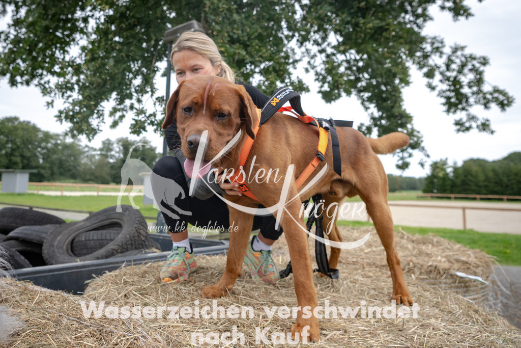 1210_ZZ94662 | kk-dogfotos