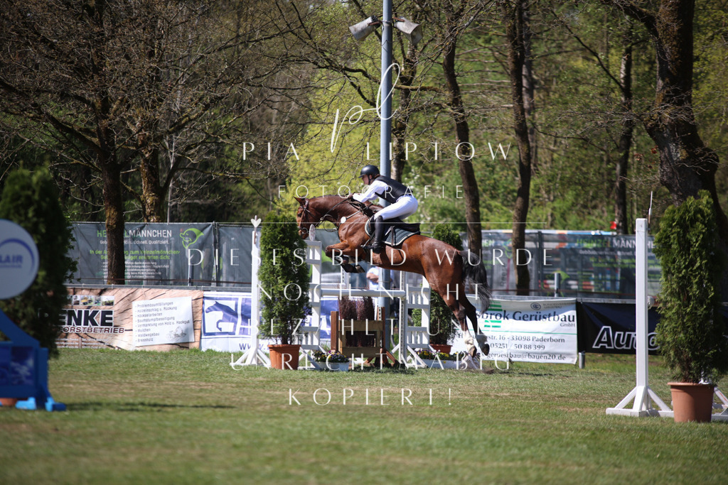 IMGT1010 | pl-fotografie