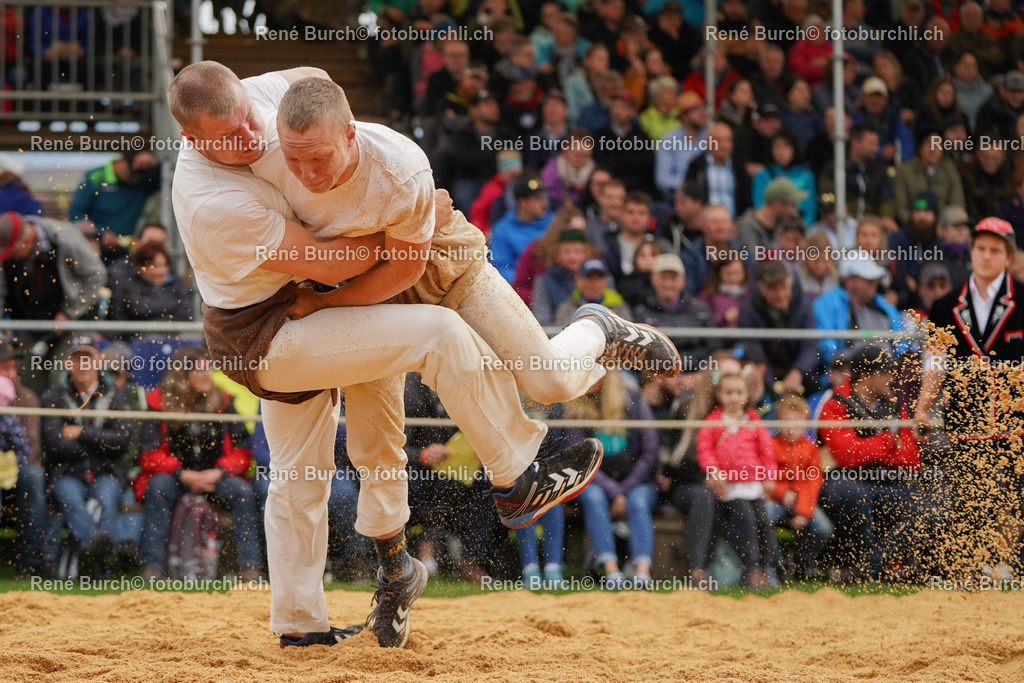20220508-DSC05551 (2)-2 | René Burch leidenschaftlicher Fotograf aus Kerns in Obwalden.  Hier finden sie Sport, Landschaft und Natur Fotografie.
 - Realisiert mit Pictrs.com