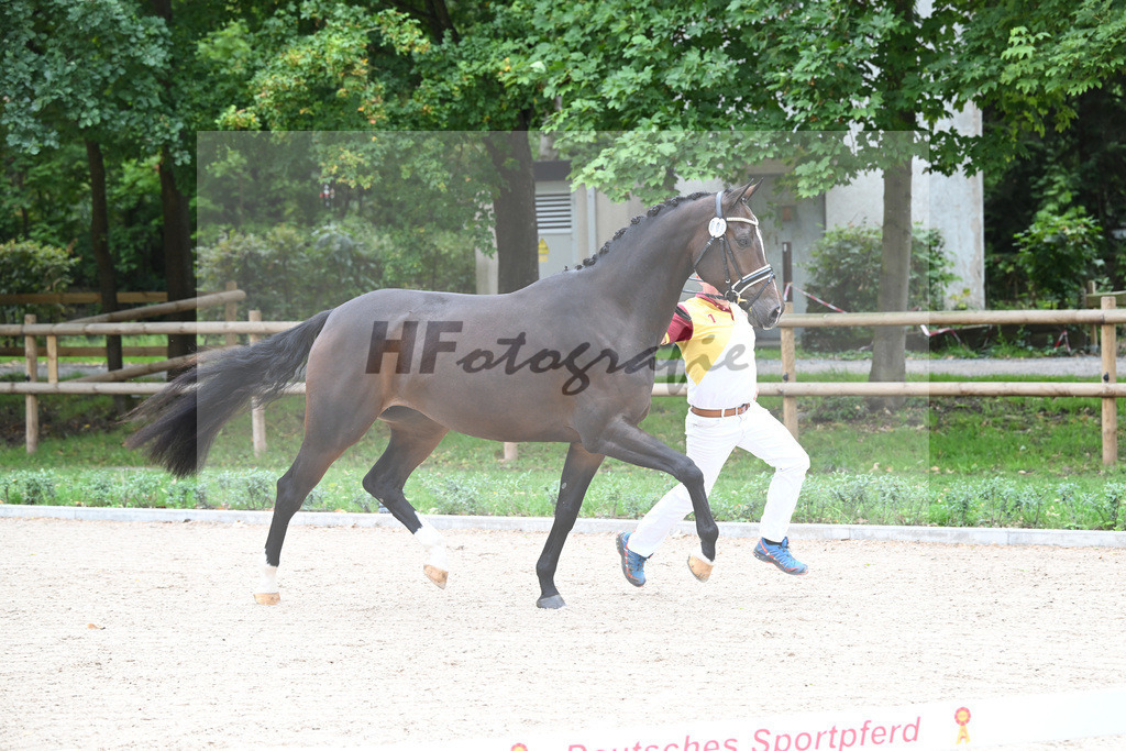 Kat-Nr. 9 Laurena_Kuehnle u Langhammer_49220900 | hf-fotografie - Realizzato con Pictrs.com