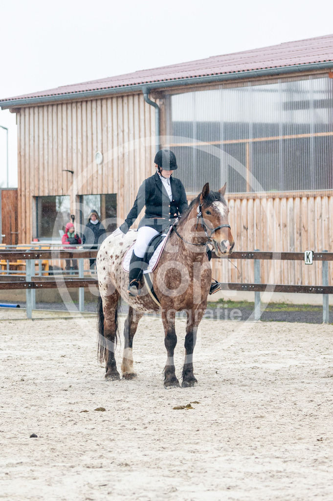 DSC_4867 | sattelsport - Realisiert mit Pictrs.com