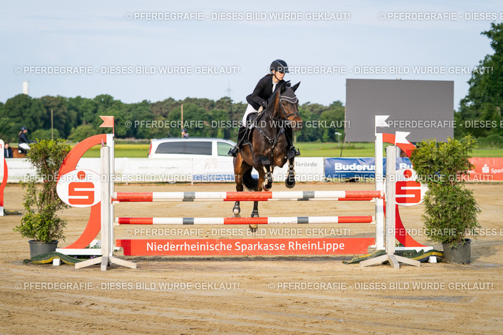 DSC01811 | Pferdegrafie