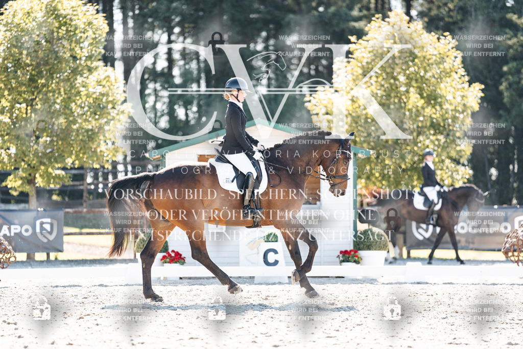 CK905738 | Turnierfotografie Pferdefotografie Trier Rheinland-Pfalz Pferdesport Reitsport Tierfotografie Sportfotografie Pferdevideo Pferdevideografie Equestrianvideography equestrianphotography  - Realisiert mit Pictrs.com